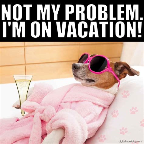 Vacation mode meme - With Tenor, maker of GIF Keyboard, add popular Going On Vacation animated GIFs to your conversations. Share the best GIFs now >>> 